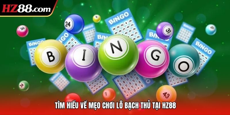 Tìm hiểu về mẹo chơi lô bạch thủ tại FV88