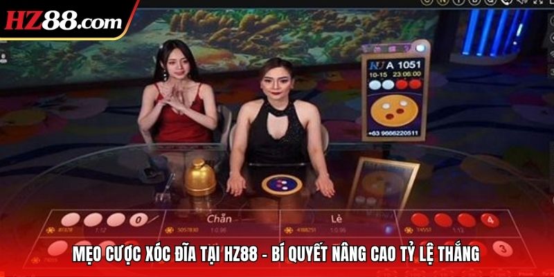 Mẹo Cược Xóc Đĩa Tại FV88 – Bí Quyết Nâng Cao Tỷ Lệ Thắng